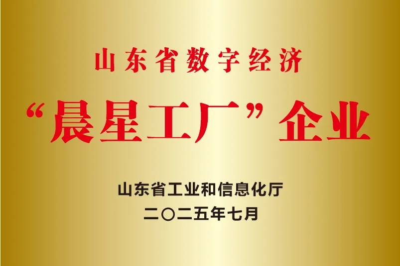 喜報！銳智智能成功入選2025年度山東省數(shù)字經(jīng)濟“晨星工廠”建設試點名單
